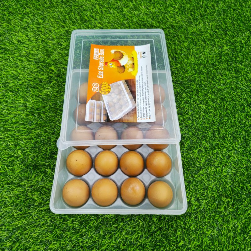20 Grid Egg Box for Daily use